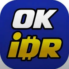 OKIDR - Petualangan Seru dalam Game TPS